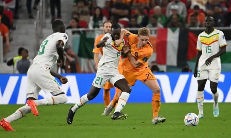 Đánh giá trận đối đầu Hà Lan vs Senegal