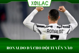 Ronaldo đá cho đội tuyển nào suốt sự nghiệp thi đấu bóng đá?