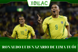Ronaldo Luís Nazário de Lima tuổi bao nhiêu dừng sự nghiệp?